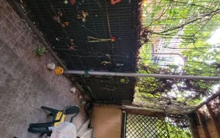 Cotroceni! Vand 530.000 Eur / Inchiriez 1450 eur, vila singur curte. - Poză 2