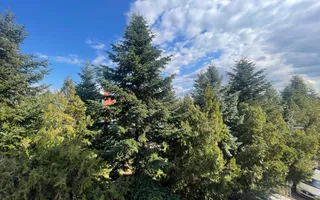 Vila superba**8 camere** Teren 1300 mp***Piscina+Sauna/Pipera - Poză 17