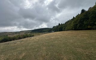 Teren langa Padure | Panorama Superba | Proiect Autorizat | Corusu - Poză 4