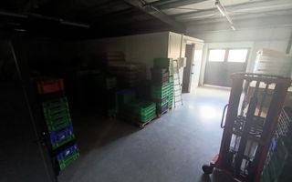 Spațiu comercial, producere+plantație de aronie, Timiș - Poză 9