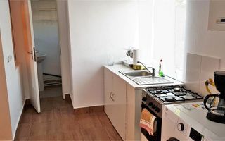 Casa de inchiriat, 2 camere, 250 mp teren, curte comuna, zona Centru - Poză 6