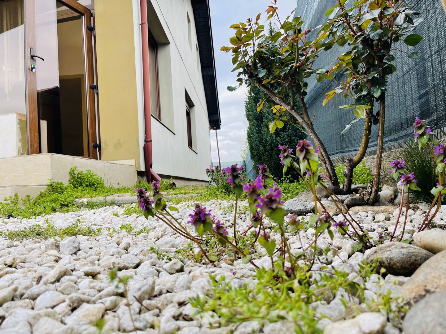 Casa din Dumbravita, 4 camere, 110 mp - Confort si liniste - Poză 44