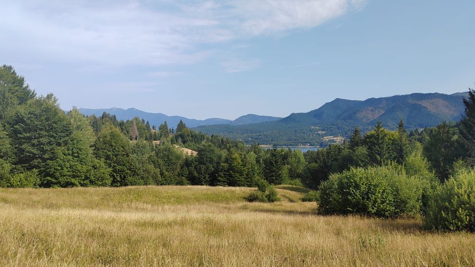 teren Colibita - 2 hectare - acces direct din drumul 173 D - Poză 4