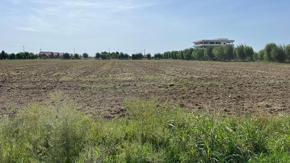 Teren Investitie - Pretabil Industrial, Logistica - Poză 2