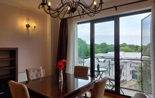 Apartament Parc Kiseleff // Piata Victoriei