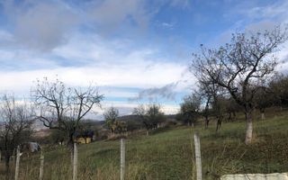 Teren intravilan parcelabil, cartier RAAL , 38 ari - Poză 6