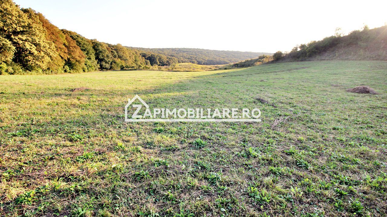 De vanzare 2 terenuri de 29.500 mp si 1.400 mp.29 euro mp - Poză 3