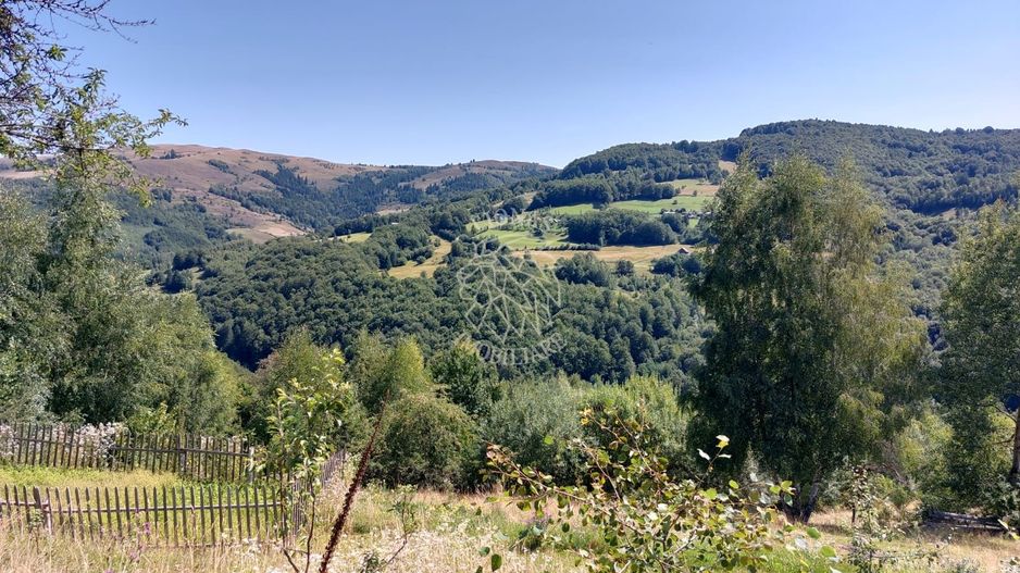 Teren extravilan investiție Rachitele Cluj - 31.555 mp - Poză 5