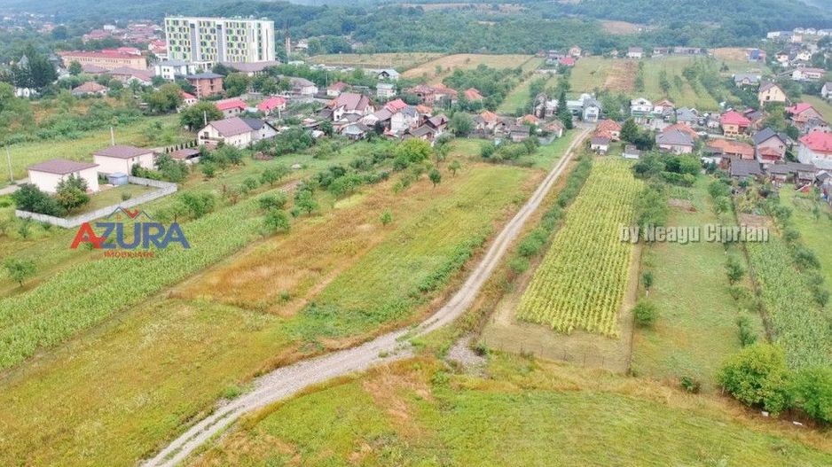 Vanzare Teren Racovita Intravilan - Poză 3