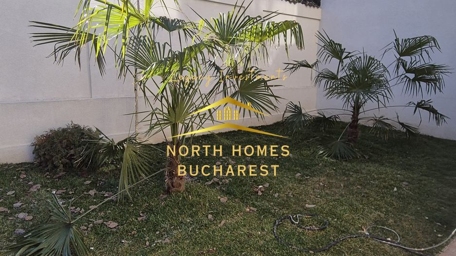 Apartament cu 3 camere, curte 2 locuri parcare, Parc Bazilescu - Poză 5