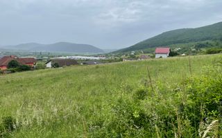 Super Oferta. Teren intravilan, Viisoara. - Poză 1