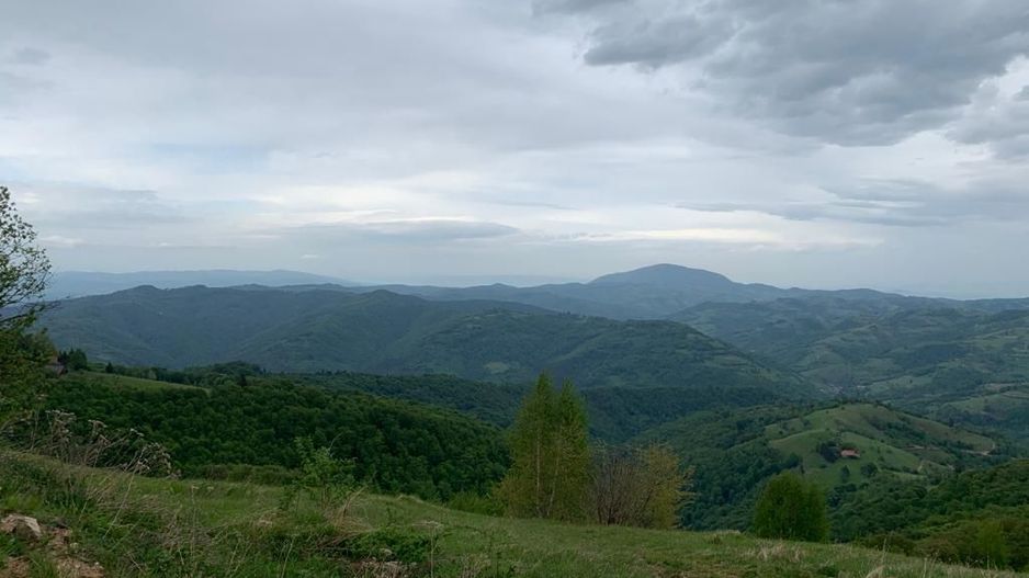 Teren extravilan 2ha, priveliste panoramica spre munti /Poiana Marului - Poză 7