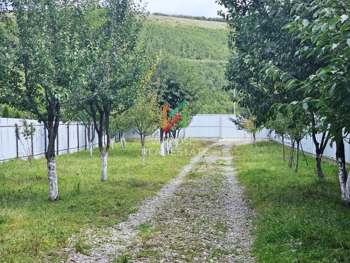 Teren 2000 | Casa | Foisor | Livada | Zizin | Brasov - Poză 11