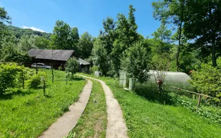 Casa de la marginea padurii! - Poză 13