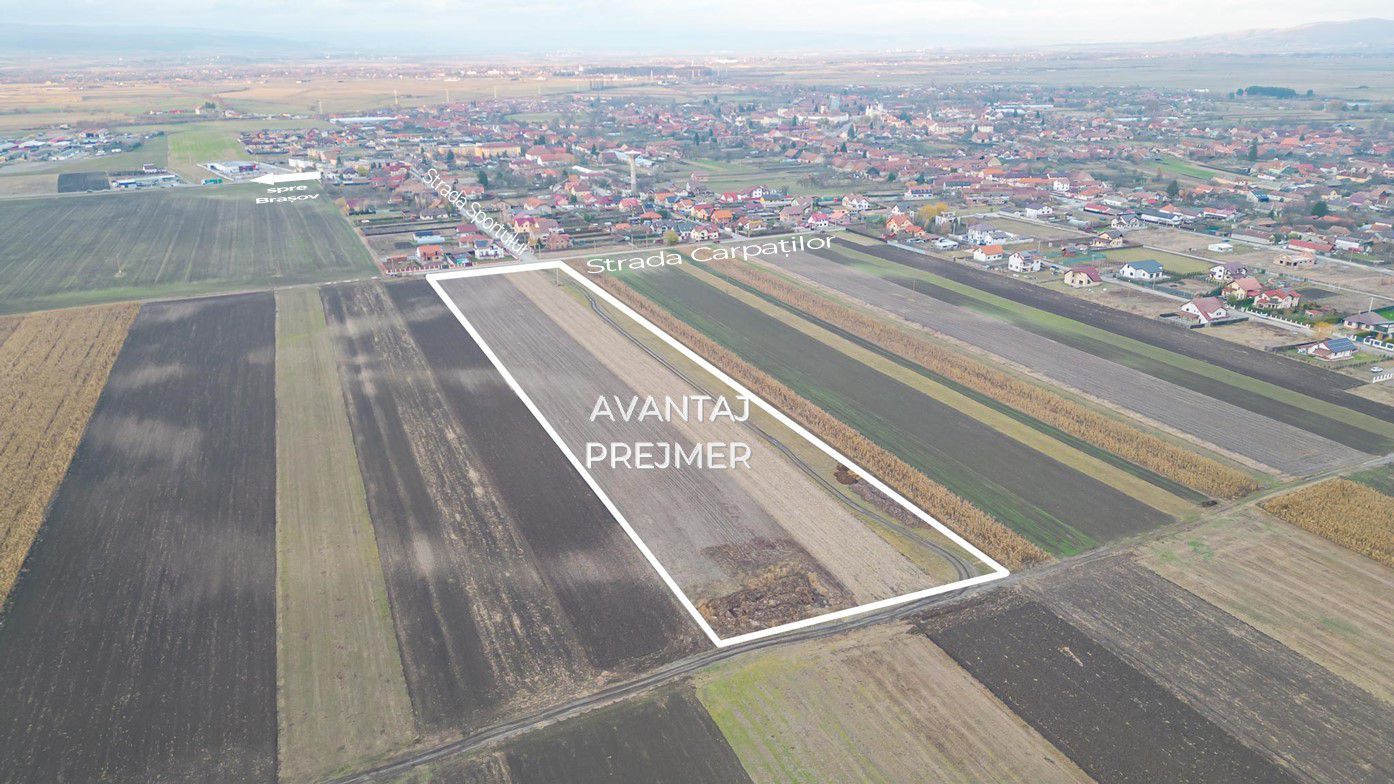 Case individuale pe structura de lemn in Prejmer - Poză 10