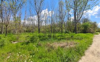 Teren de vanzare / Dem Radulescu - Poză 8