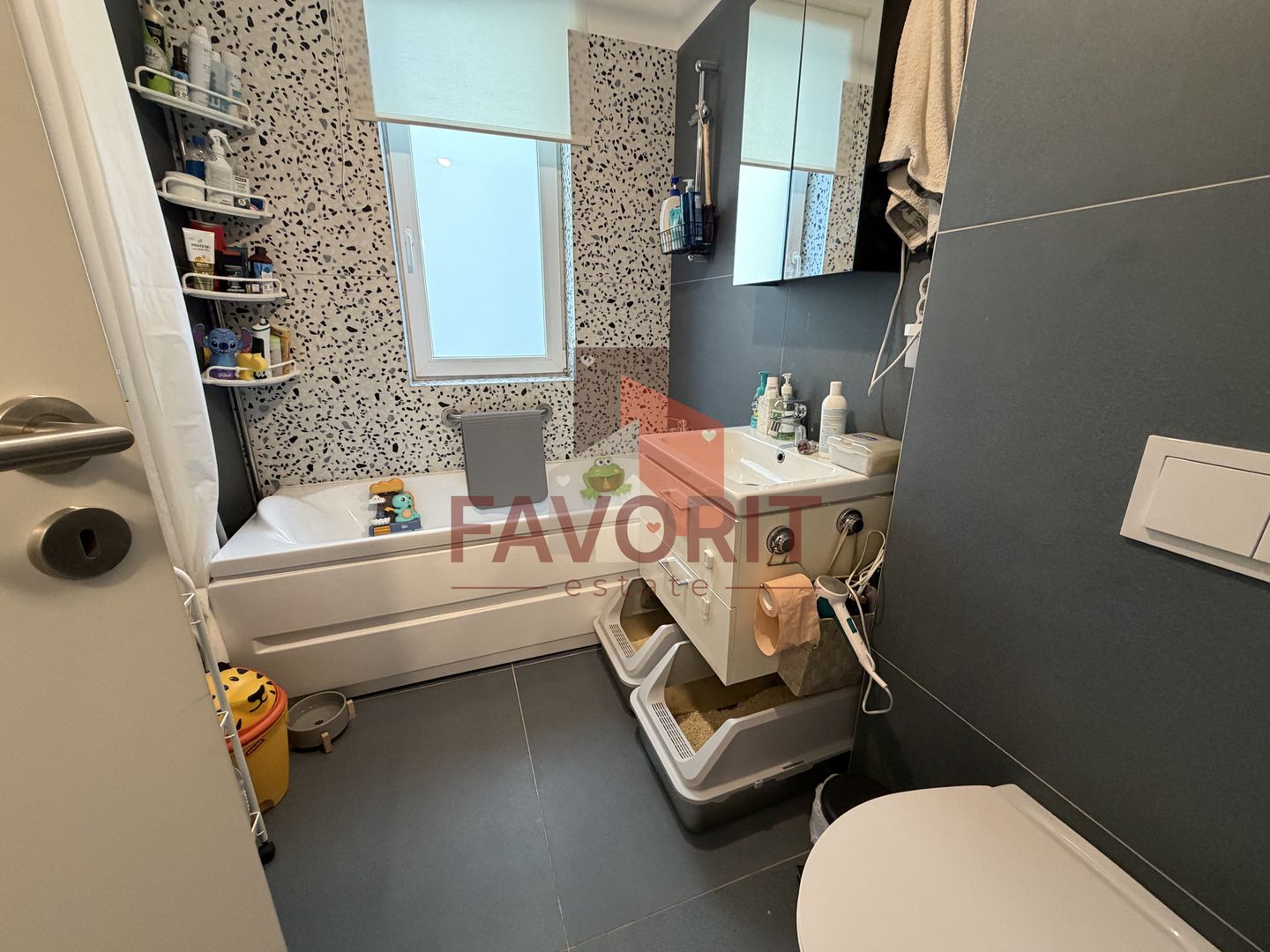 SAD. Pozitie excelenta. Gradina proprie. - Poză 13