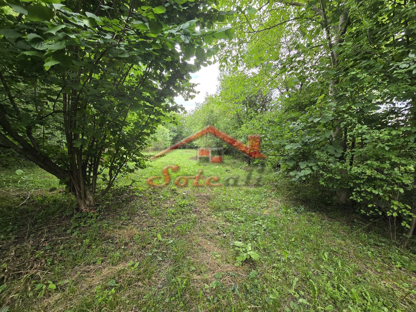 Teren intravilan de vânzare în Cornu de Sus – 1.363 mp fara inclinatie - Poză 5