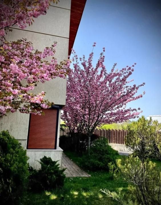 Vila Premium de Vanzare 241 mp I Sisesti - Poză 10