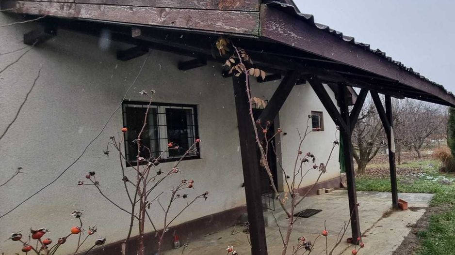 Casa cu 7,7 ari de teren in Bercu rosu, strada Afinelor - Poză 2