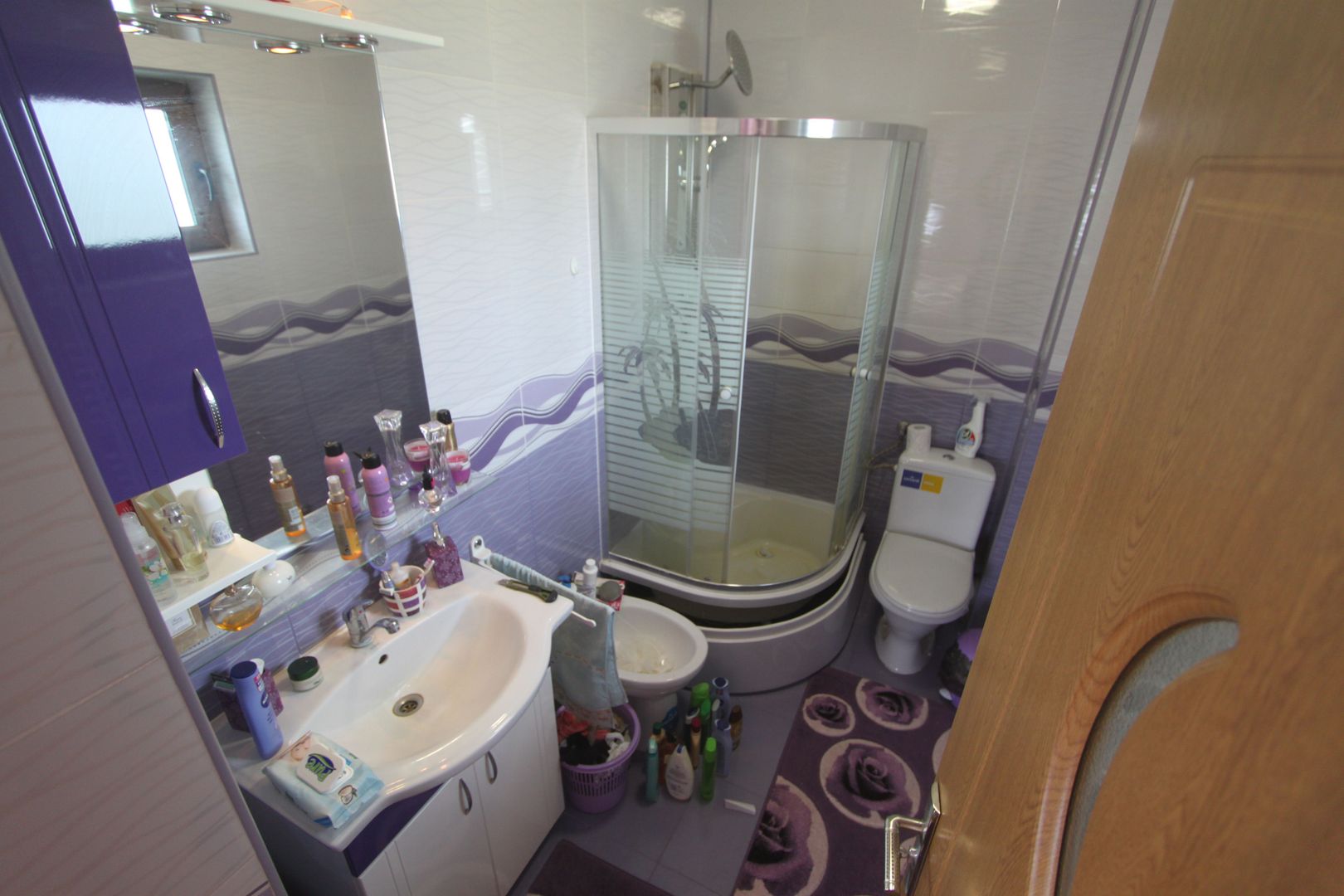 Vila - BEREGSAUL MARE - Poză 9