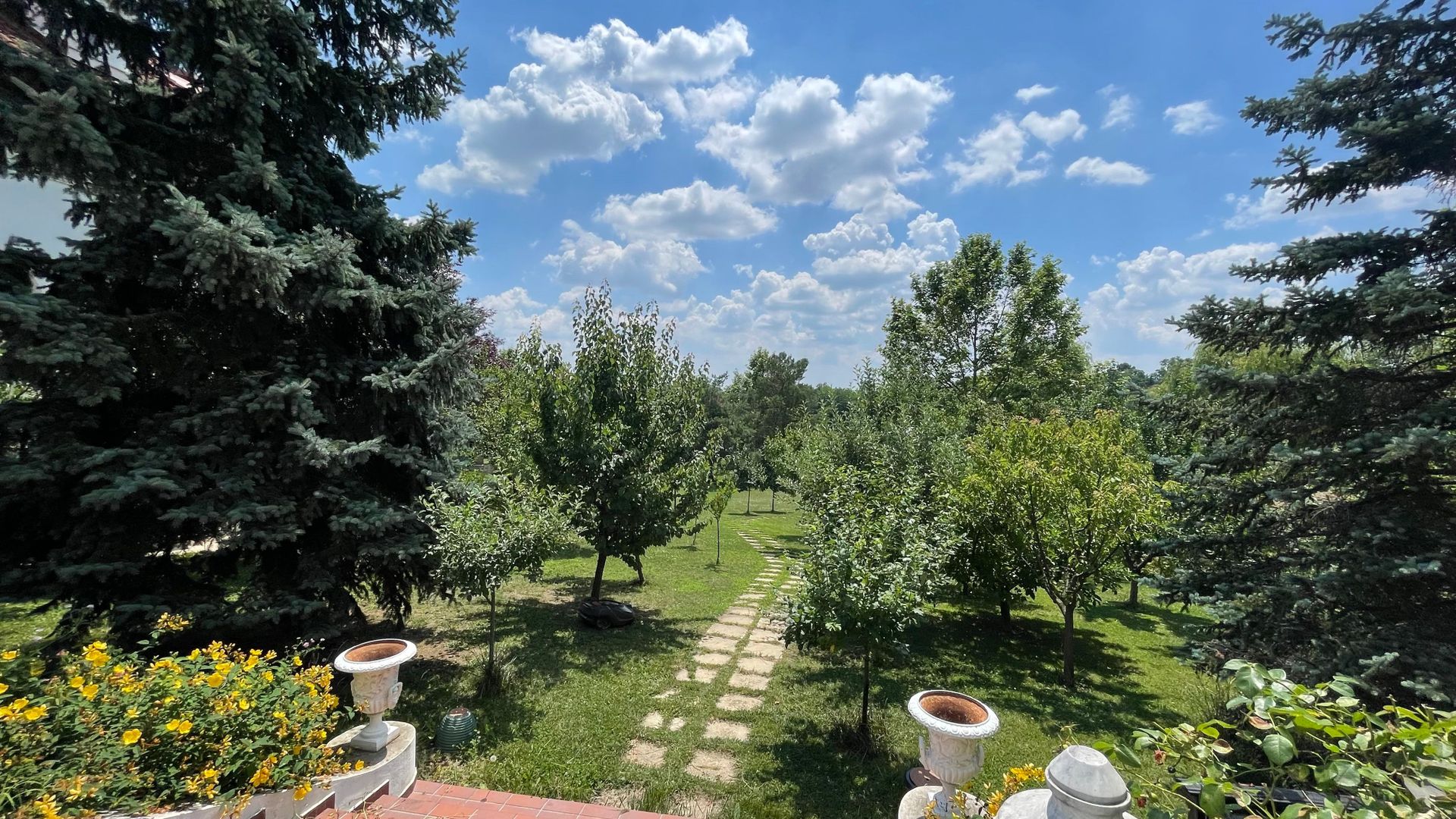 Domeniu vila Balotesti 4000 mp teren 60 m deschidere lac - Poză 13