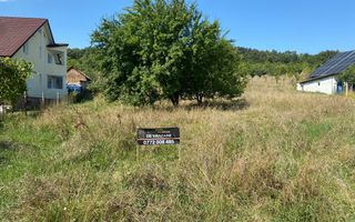 Teren intravilan 1300 mp-parcelabil-Viile cu Pomi-Unirea-Exclusiv - Poză 3