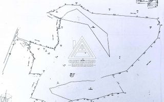 Teren 8 ha cu 15 izvoare minerale, lângă Câmpulung Argeș - Poză 8