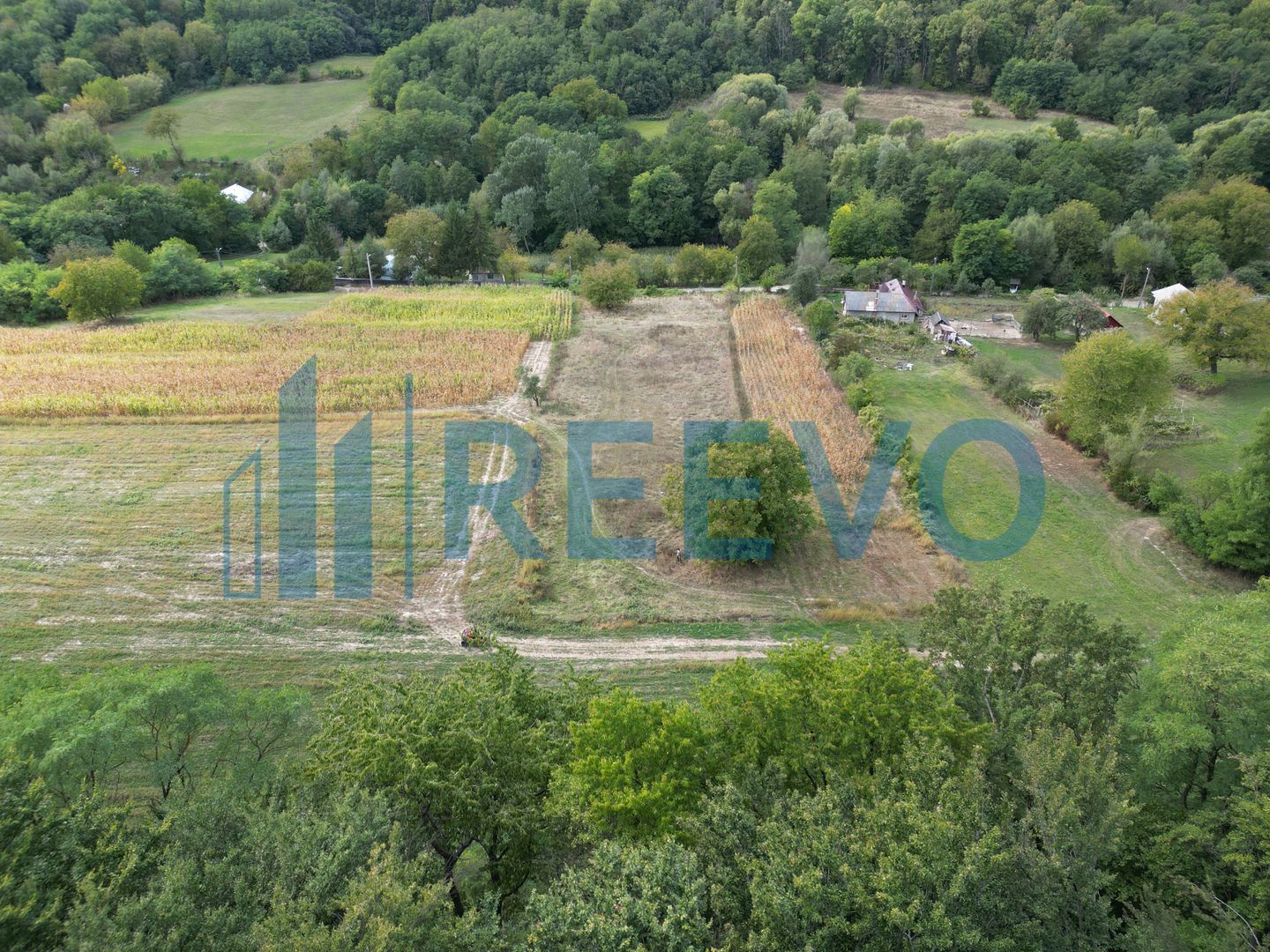 Teren intravilan lângă pădure, Racova - Poză 3