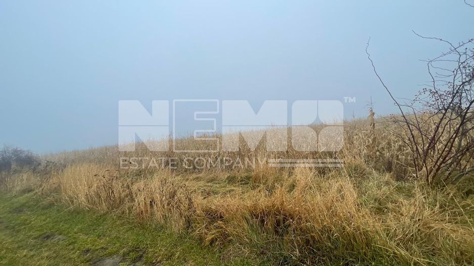 TEREN EXTRAVILAN | DOUA PARCELE 2.84 HA| IDEAL AGRICOL | DARMANESTI - Poză 1