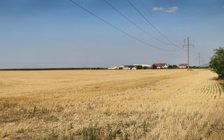 Teren extravilan 7.915Mp, între Vladimirescu-Horia - Poză 2