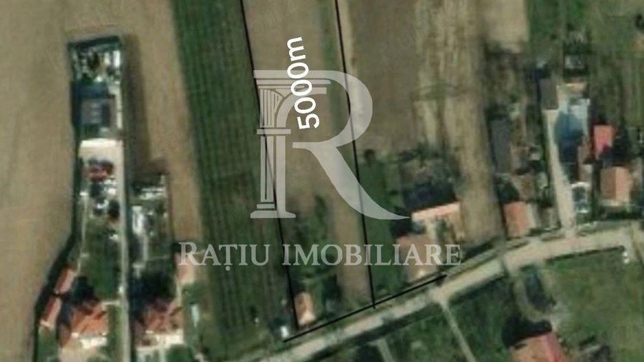 Teren intravilan 5.000 mp de vânzare | Leș - Poză 1