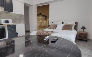 Studio modern, 40 mp | Strada Samuil Vulcan - Poză 2