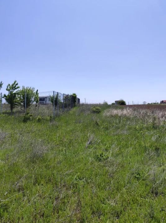 Teren intravilan Peris | 400 mp | Oportunitate investitie - Poză 3