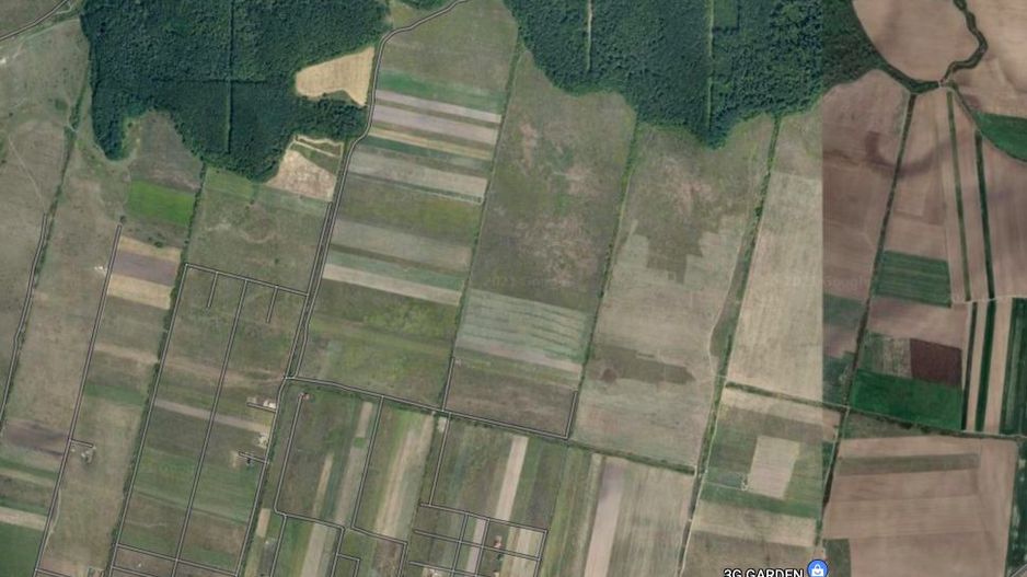 TEREN MOSNITA VECHE-pt investiție - Poză 1