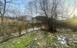 TEREN INTRAVILAN 2,26 HA | SUCEVITA | - Poză 15