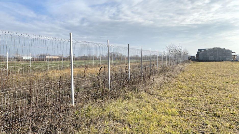 Afumati - Str. Iasomiei, 2409 MP, stradal, intravilan, deschidere 12 m - Poză 11