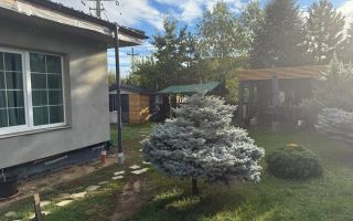 Casă de vânzare în zona Bucium, teren 946 mp, grădină și foișor - Poză 6