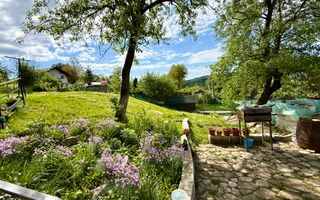 2 Case + teren 1390 mp langa parcul central Provita de Sus - Poză 22