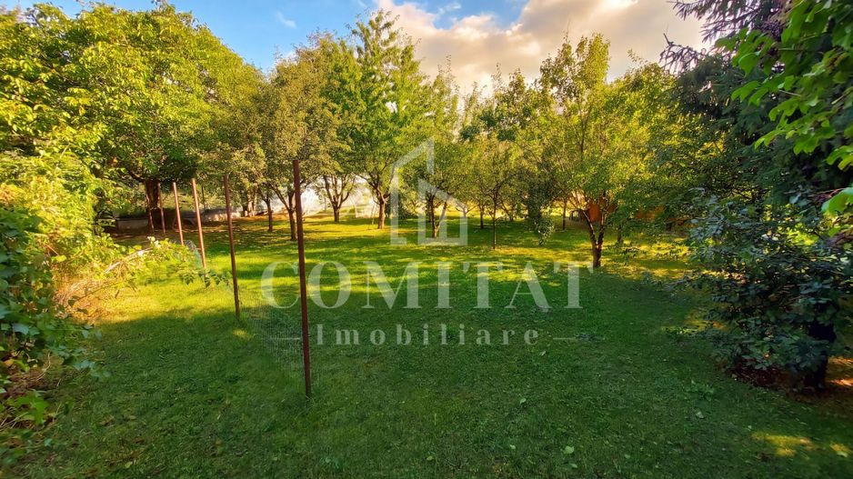 Vilă în Făget | Sediu companie | 2.412 mp teren 8 parcări - Poză 14