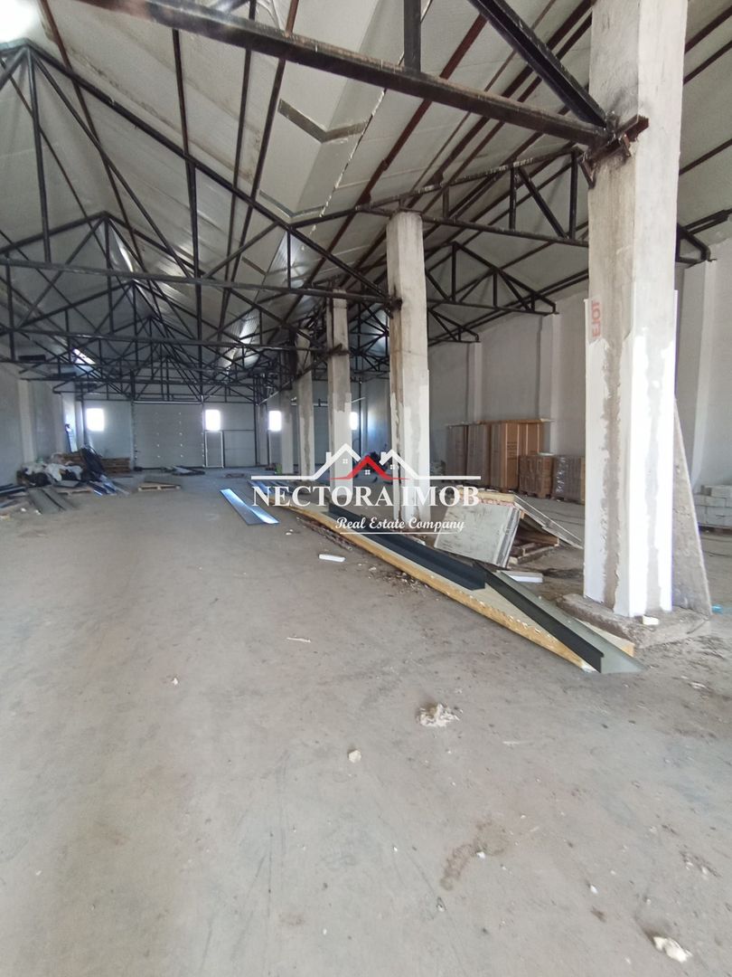 NECTORA IMOB-4 hale industriale noi, Zona Livada de Bihor, Curte mare - Poză 3