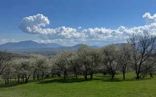 Terenuri Bran - Predelut  Priveliște către Bucegi și Postăvaru - Poză 16