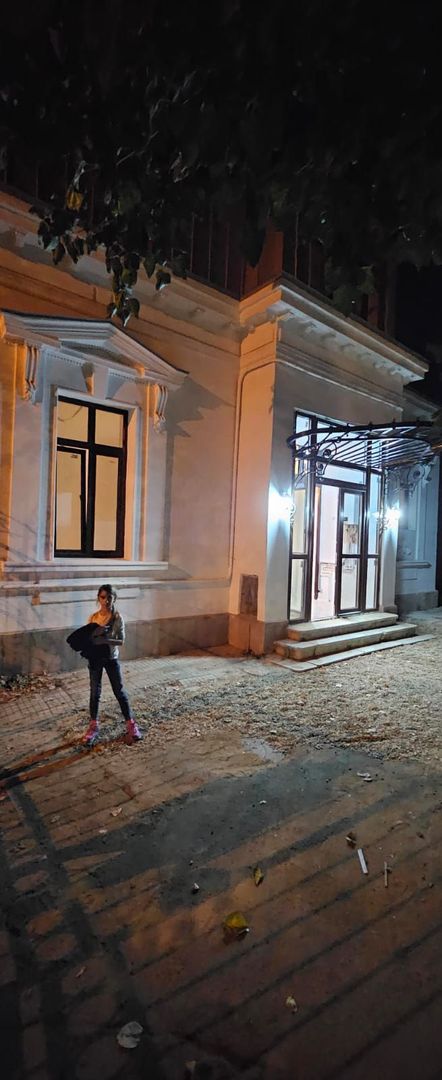 Vila in stil Art Nouveau | Mosilor, Noul Centru Vechi | Curte 150mp - Poză 9