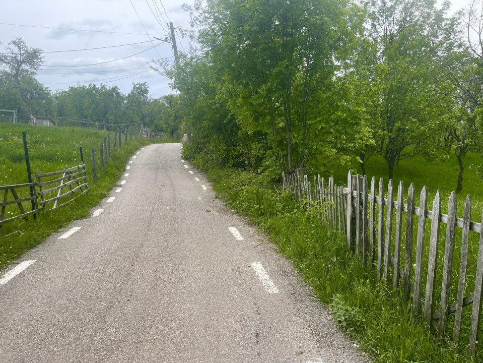Teren intravilan Sotrile 6762 mp – Investitie, camping, agroturism - Poză 3
