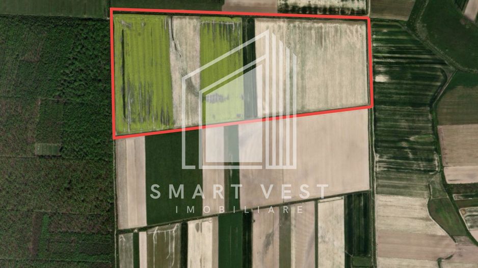 Teren agricol 96.500 mp | Zona Aeroportul Satu Mare - Poză 2