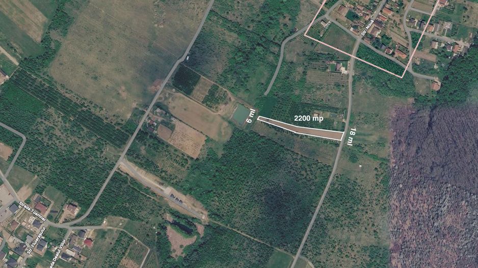 Teren intravilan de 2200 mp în Paleu – Front stradal 18 ml - Poză 4