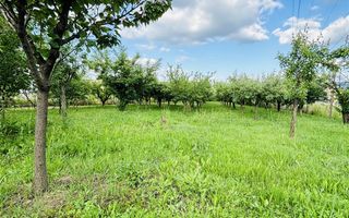 VILA CU 14 CAMERE SI 3405 MP TEREN IN SANMARTIN - Poză 9