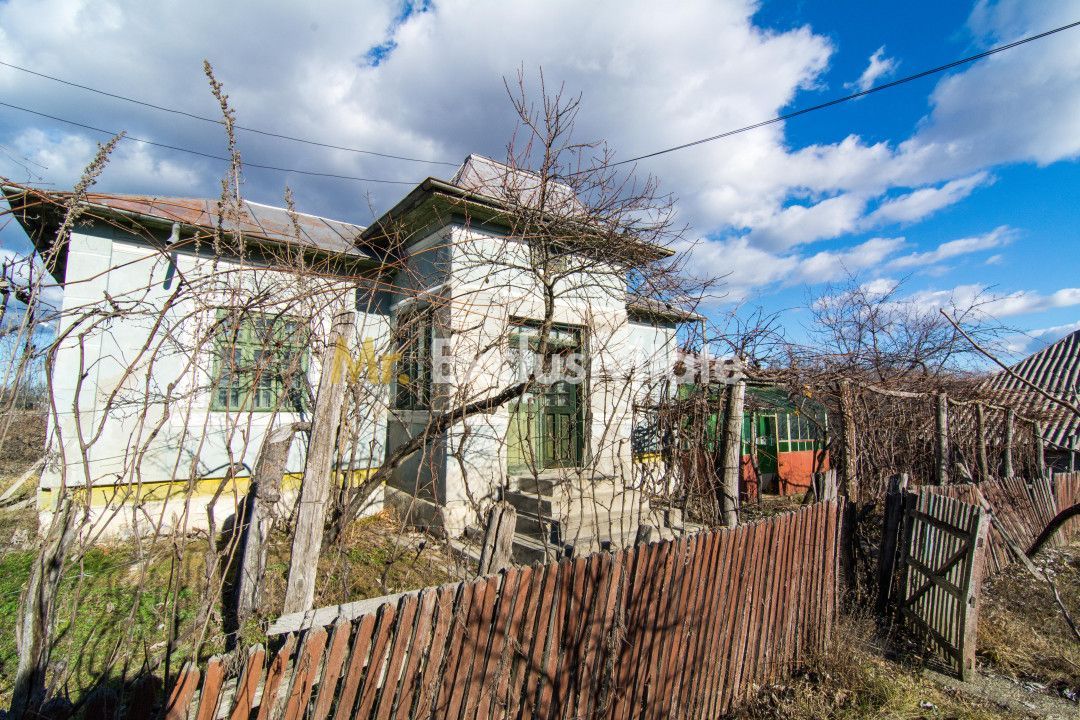 Casa traditionala argeseana – comuna Vedea, jud. Arges - Poză 4