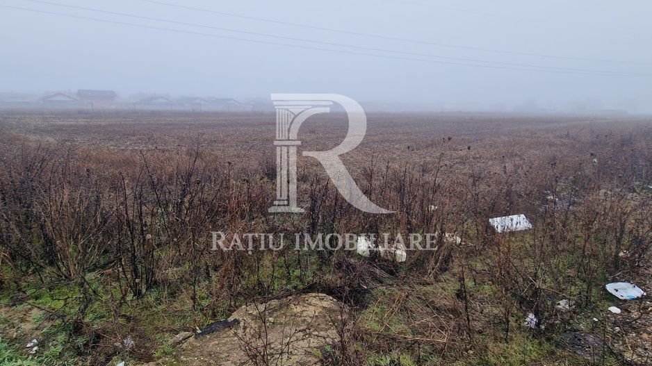 Teren intravilan | Santandrei | Bihor - Poză 2