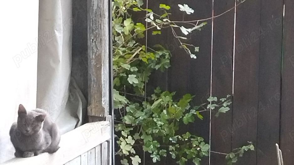 Casă Tătărași excepțional situată! - Poză 8